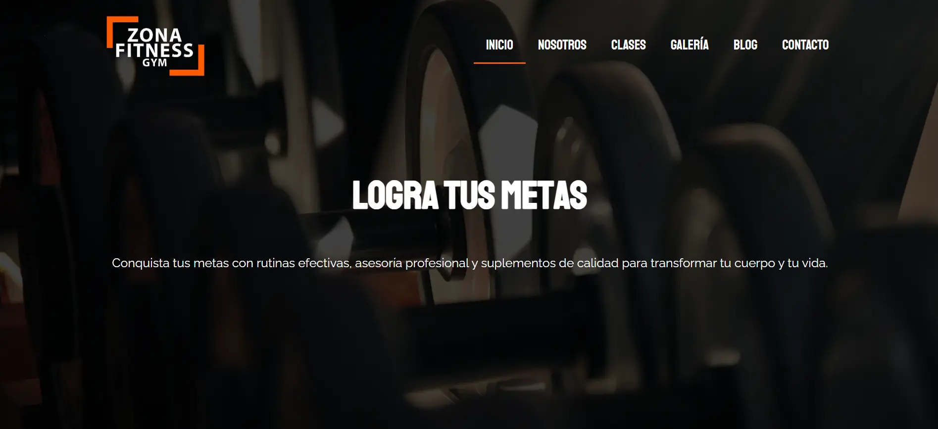 Captura de pantalla del proyecto /projects/ZonaFitness.webp