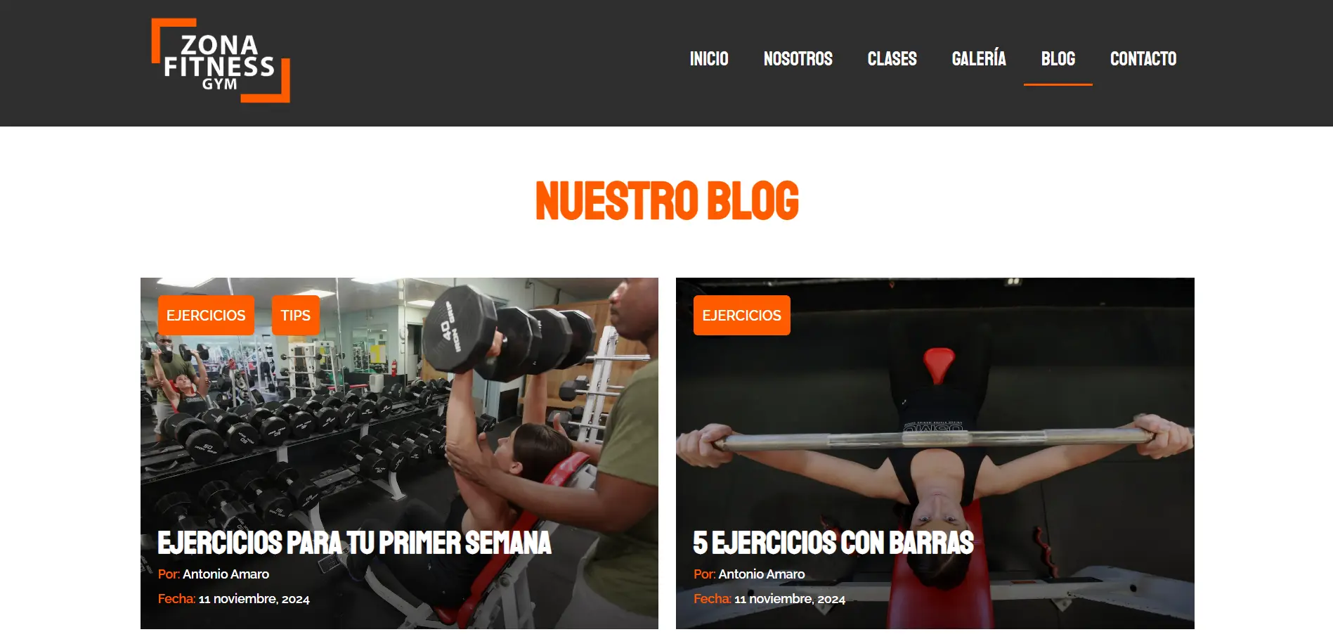 Captura de pantalla del proyecto /projects/ZonaFitnessBlog.webp